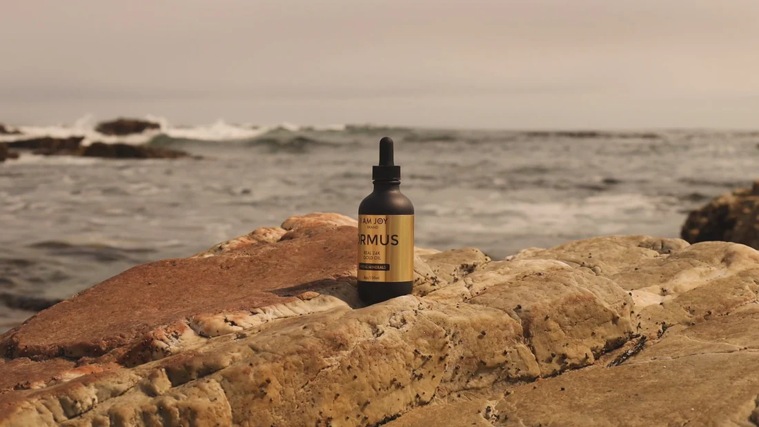 Elevate Your Everyday Essentials